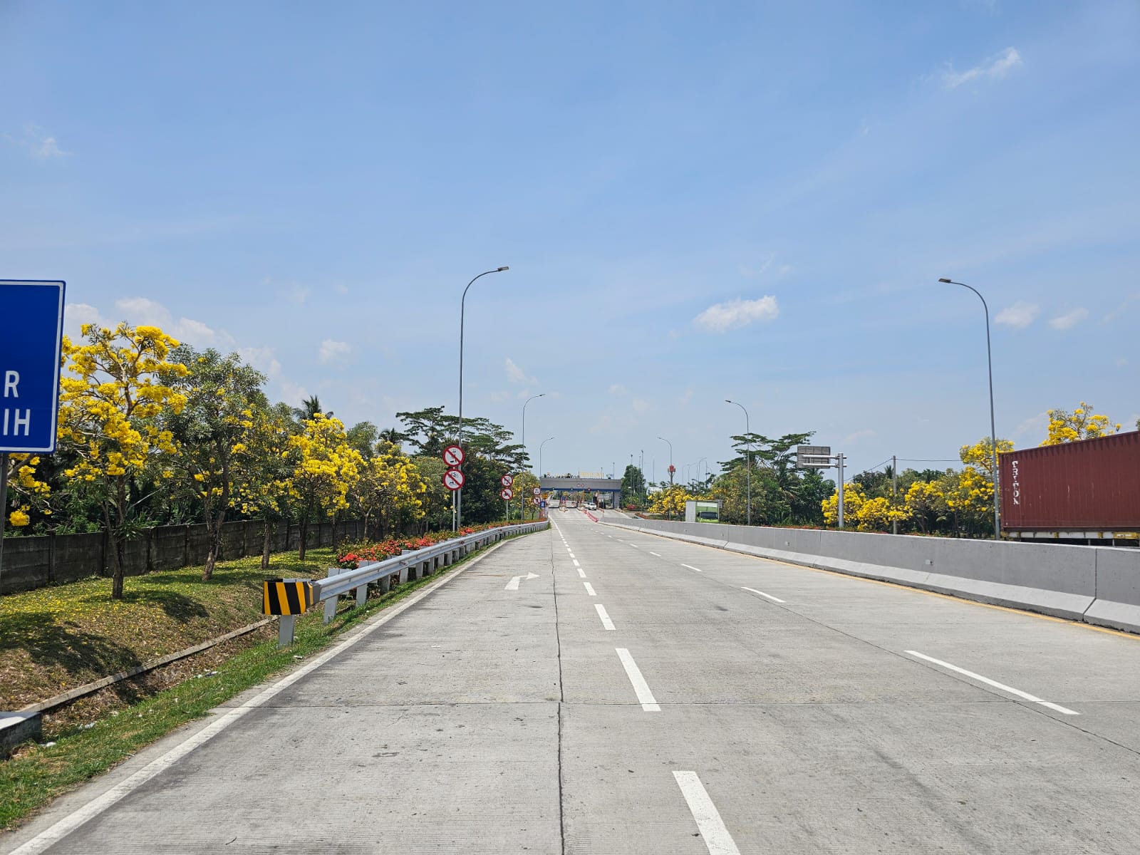 Keindahan Tabebuya di Gerbang Tol Boyolali